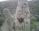 photo thumbnail #7