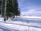 photo thumbnail #1
