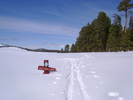 photo thumbnail #2