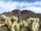 photo thumbnail #3