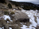 photo thumbnail #2
