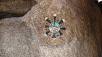 photo thumbnail #14