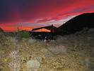 photo thumbnail #7