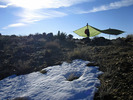 photo thumbnail #9