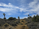 photo thumbnail #14