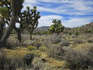 photo thumbnail #15