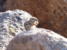photo thumbnail #15