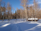 photo thumbnail #4
