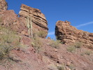 photo thumbnail #3