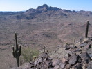 photo thumbnail #12