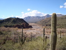 photo thumbnail #4
