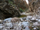 photo thumbnail #14