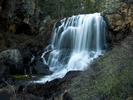photo thumbnail #1
