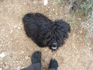 photo thumbnail #1