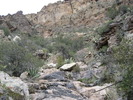 photo thumbnail #5