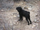 photo thumbnail #9