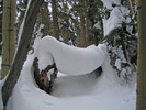 photo thumbnail #1