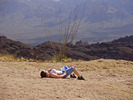 photo thumbnail #3