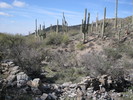photo thumbnail #10