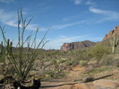 photo thumbnail #4