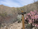 photo thumbnail #3