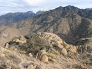 photo thumbnail #15