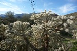 photo thumbnail #1