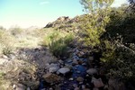 photo thumbnail #5