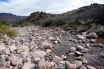 photo thumbnail #10