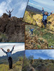 photo thumbnail #15