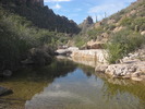 photo thumbnail #8