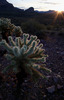 photo thumbnail #2