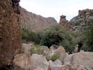 photo thumbnail #12
