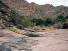photo thumbnail #13