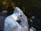 photo thumbnail #12