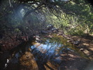 photo thumbnail #13