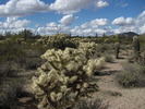 photo thumbnail #5