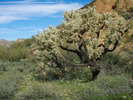 photo thumbnail #14