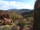 photo thumbnail #2
