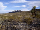 photo thumbnail #2