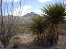 photo thumbnail #3