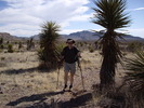 photo thumbnail #5