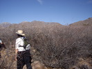 photo thumbnail #6