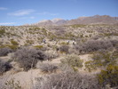 photo thumbnail #9