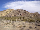 photo thumbnail #10