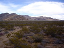 photo thumbnail #3