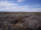 photo thumbnail #8