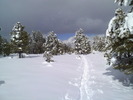 photo thumbnail #2