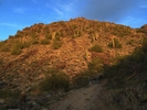 photo thumbnail #1
