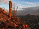 photo thumbnail #2